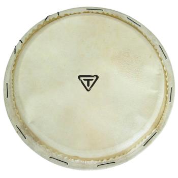Traditional Series Replacement Djembe Head (10 inch.) (HL-00755733)
