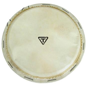 Traditional Series Replacement Djembe Head (13 inch.) (HL-00755735)